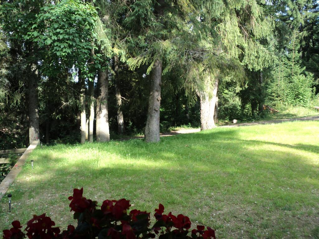 Cabana Suvenirurilor Scarisoara  Exterior foto