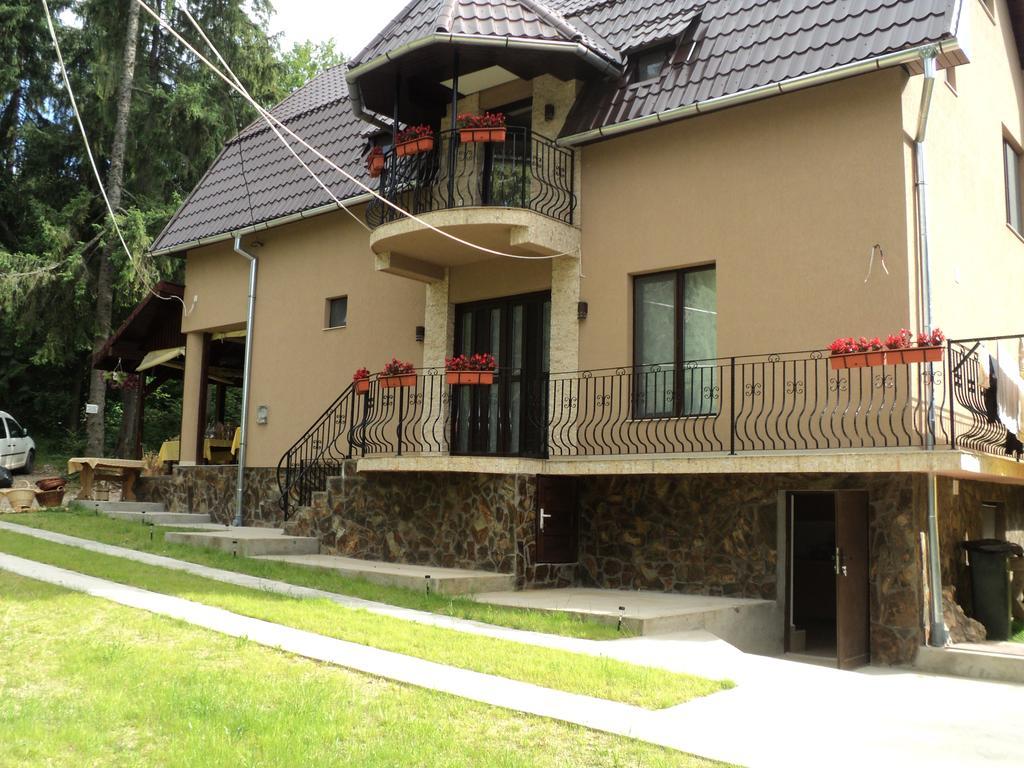 Cabana Suvenirurilor Scarisoara  Exterior foto